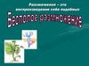 Бесполое размножение. Преимущества и недостатки бесполого размножения