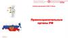 Правоохранительные органы РФ
