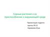 Сорные растения и их приспособления к окружающей среде