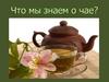 Выпей чайку - забудешь тоску!