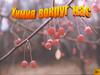 Химия вокруг нас