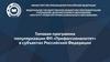 Типовая программа популяризации ФП «Профессионалитет» в субъектах Российской Федерации