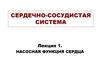 Сердечно-сосудистая система