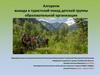 Алгоритм выхода в туристский поход детской группы образовательной организации