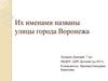 Их именами названы улицы города Воронежа