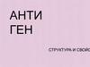 Структура и свойства антигена