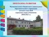 Программа развития МБДОУ д/с №28 городского округа Кинешма
