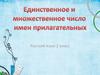 Единственное и множественное число имен прилагательных  (2 класс)
