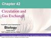 Circulation and Gas Exchange. Chapter 42