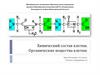 Химический состав клетки. Органические вещества клетки