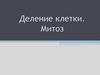 Деление клетки. Митоз