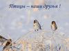 Птицы – наши друзья !