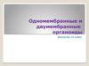 Одномембранные и двумембранные органоиды