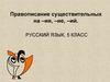 Правописание существительных на –ия, –ие, –ий. 5 класс