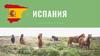 Государство на крайнем юго-западе Европы Испания