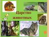 Общая характеристика Царства Животные