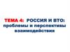 Россия и ВТО. Тема 4