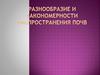 Разнообразие и закономерности распостранения почв