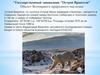 Государственный заповедник "Остров Врангеля"