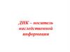 ДНК – носитель наследственной информации