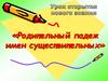 Родительный падеж имен существительных