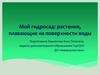 Растения на поверхности аквариума