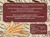 «Реконструкция пекарни ИП Куликова с целью увеличения выработки до 5,0 тонн в сутки.»