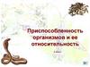 Приспособленность организмов и ее относительность. 9 класс
