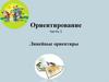 Ориентирование. Часть 1. Линейные ориентиры