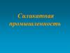 Силикатная промышленность