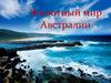 Животный мир Австралии