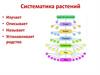 Систематика растений