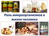 Роль микроорганизмов в жизни человека