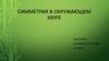 Симметрия в окружающем мире