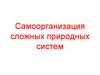 Самоорганизация сложных природных систем