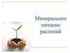 Минеральное питание растений (6 класс)