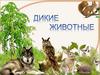 Дикие животные