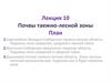 Лекция 10. Почвы таежно-лесной зоны