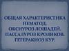 Общая характеристика нематод. Оксиуроз лошадей. Пассалуроз кроликов. Гетеракиоз кур