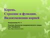 Корень. Строение и функции. Видоизменения корней растений