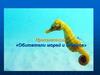 Обитатели морей и океанов