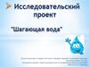 Шагающая вода. Исследовательский проект