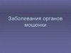 Заболевания органов мошонки