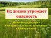 Их жизни угрожает опасность. Животные и растения Костромской области, занесённые в Красную книгу