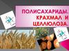 Полисахариды. Крахмал и целлюлоза