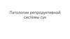 Патологии репродуктивной системы сук