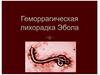 Геморрагическая лихорадка Эбола