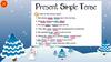 Present Simple Tense