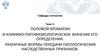 Половой хроматин и клинико-патофизиологическое значение его определения. Тема 2