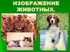 Изображение животных
